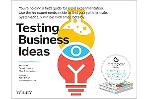 Testing Business Ideas: Rapid Experimentation Field Guide