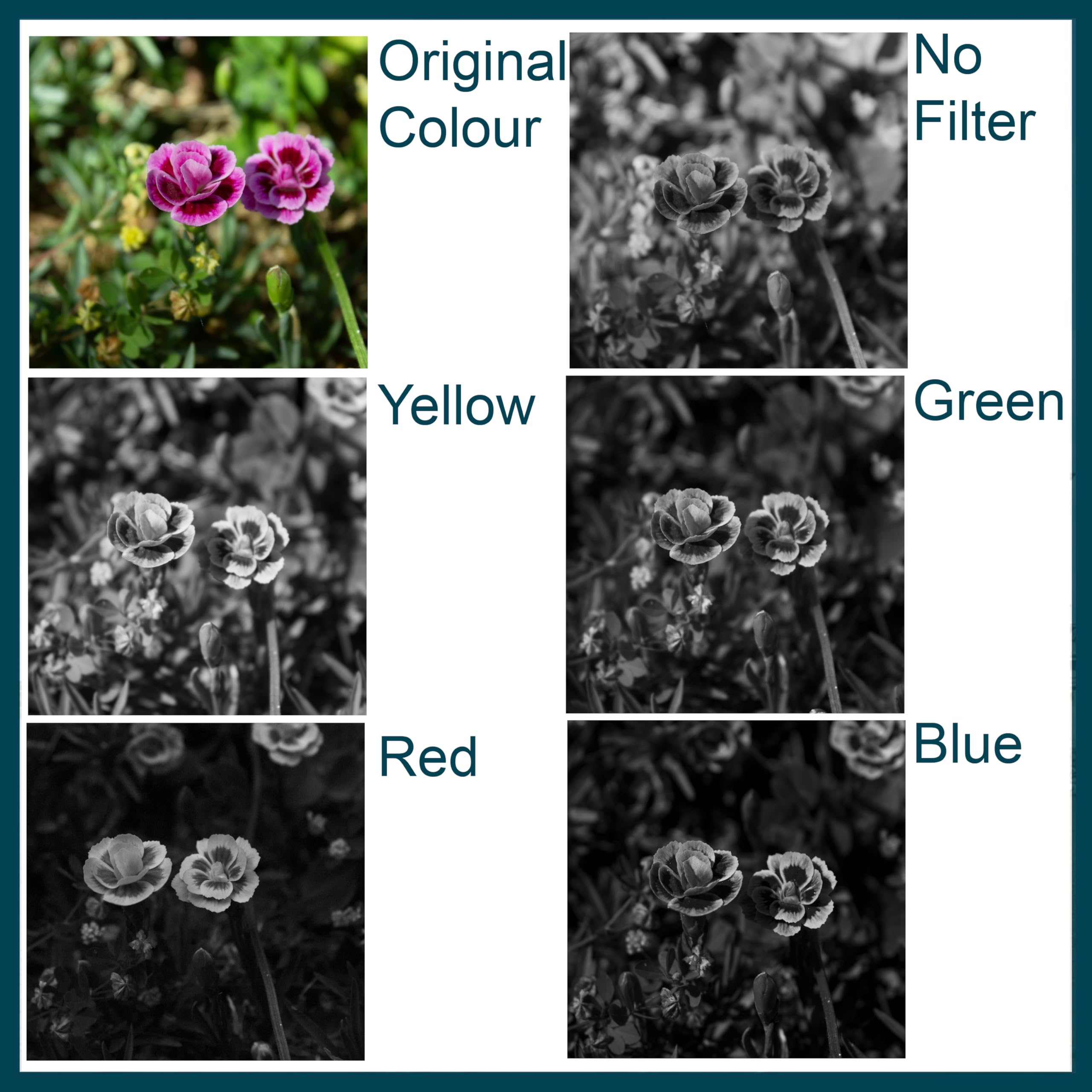MaD Camera - Filtre de Correction Jaune 58 mm - Réduit l'éblouissement et améliore Le Contraste - Filtre d'objectif d'appareil Photo Premium pour Reflex numériques