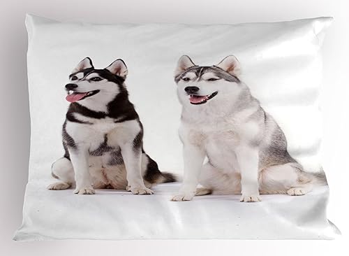 Alaskan Malamute almohada Sham by ambesonne, Arctic peludos doggies Husky Whelp Pedigree Pet Happy Siberiano mamíferos, decorativo impreso funda de