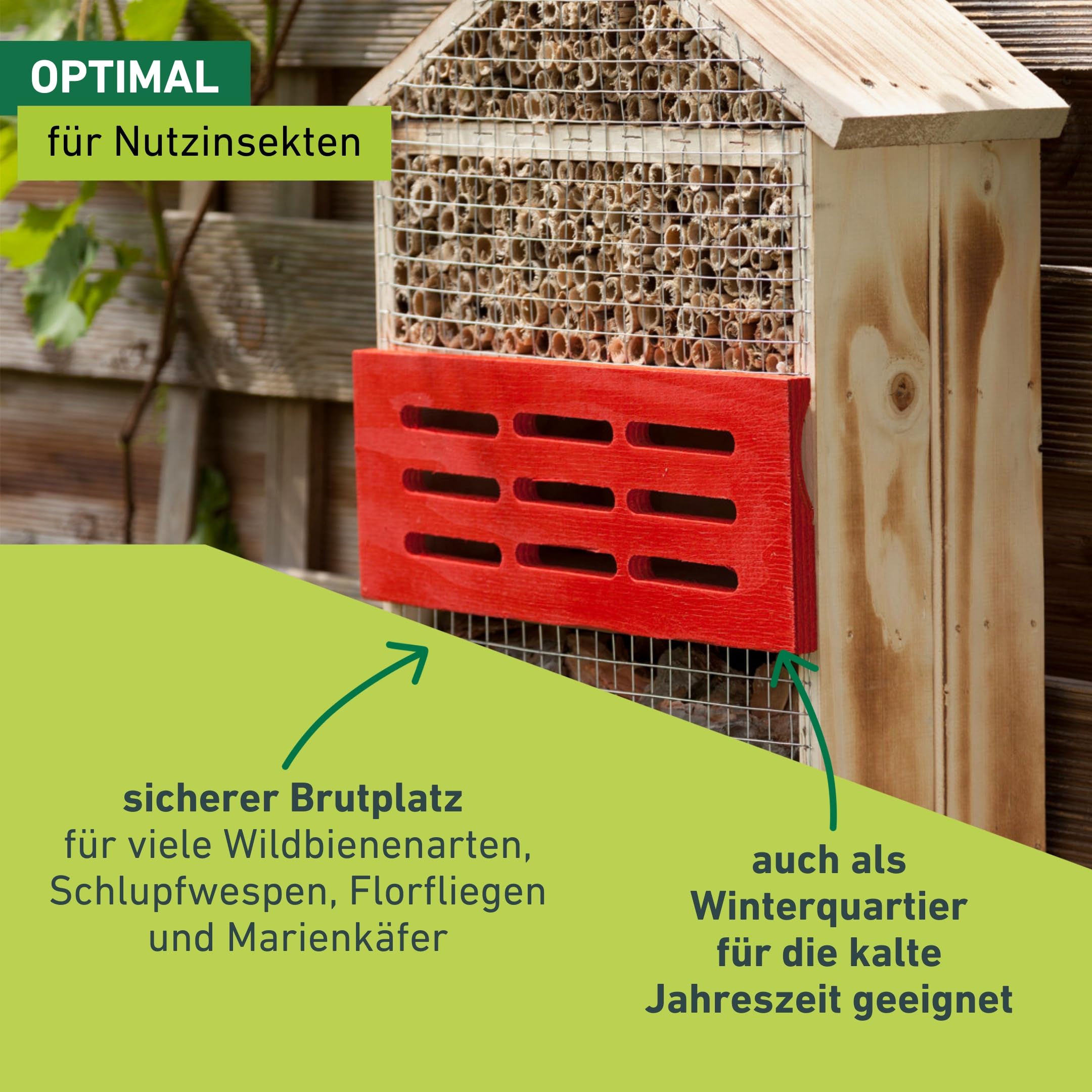 Windhager Insektenhotel 5 Sterne, Insektenhaus Nistplatz Brutplatz, Schutz für viele Insekten, aus Massivholz, gefüllt mit Rinde und Schilfrohr, 06974