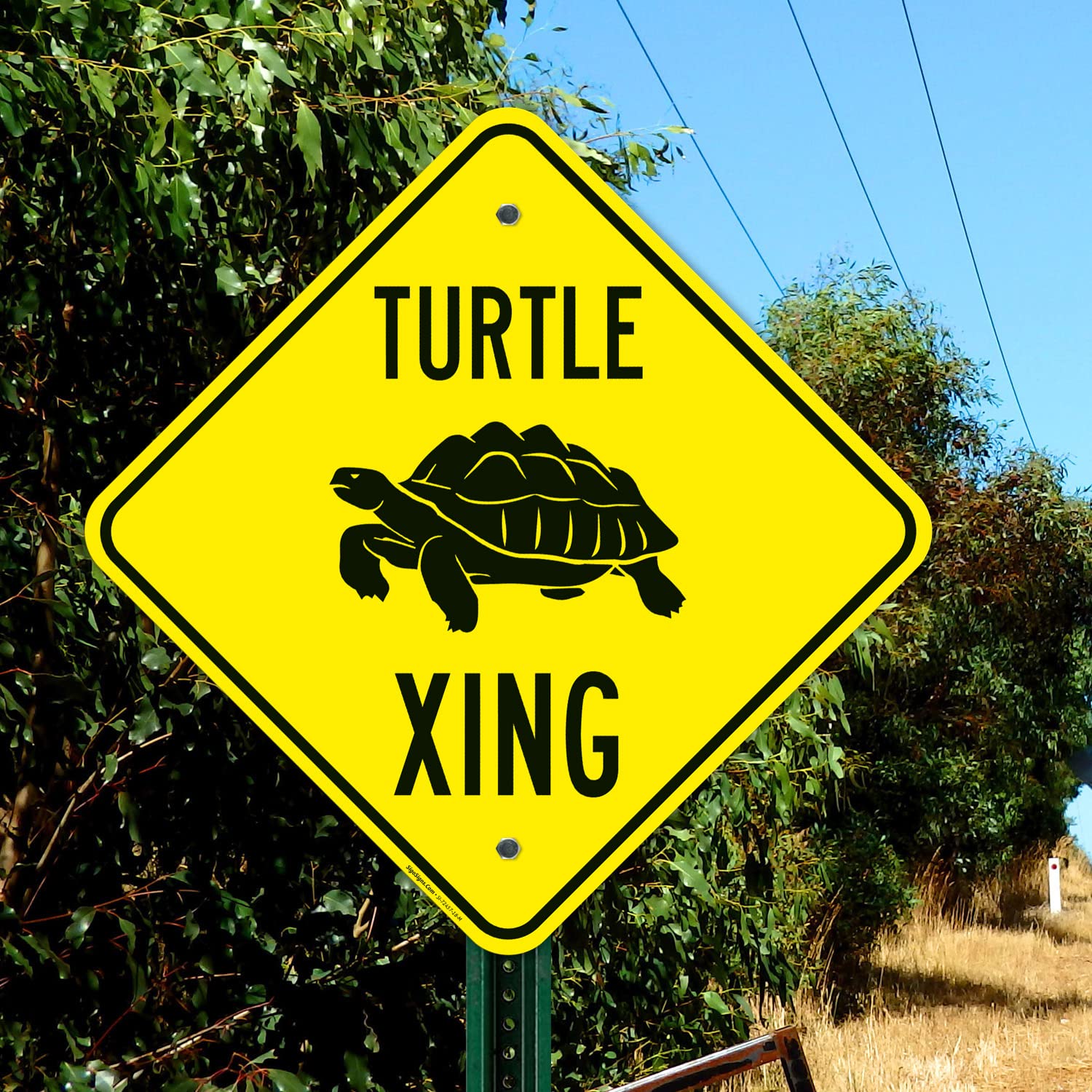 Turtle Crossing with Graphic Sign, 18x18 Inches, Rust Free .063 Aluminum, Fade Resistant, Made in USA