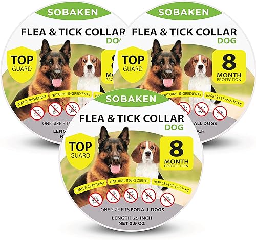 Prevención de pulgas y garrapatas para perros collar de pulgas natural para perros 1 talla para todos 25 pulgadas protección de 8 meses paquete de 2