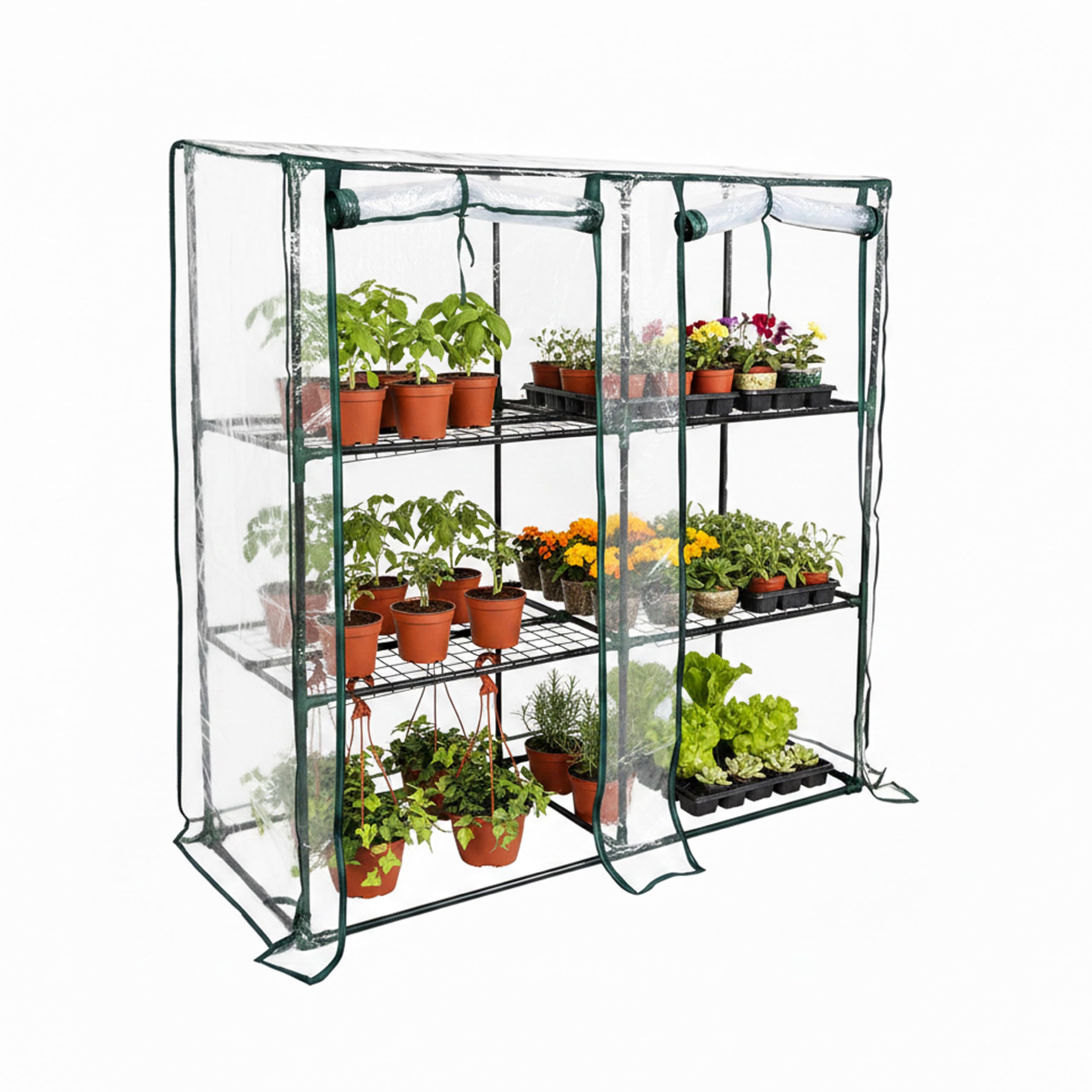 Baroni Home Serra da Giardino con Copertura in PVC Trasparente, Telaio in Acciaio Resistente, Porta Avvolgibile con Cerniera, Protezione da Pioggia, Vento e Uccelli (3 ripiani a muro)