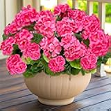 TURNMEON Artificial Geraniums Flowers for Outdoors, 4 Bundles Fake Geraniums Silk Flowers UV Resistant Faux Flowers Plants for Home Planter Gardens Table Porch Patio Cemetery Summer Spring Decor(Pink)