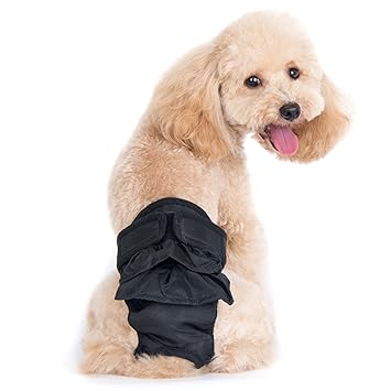 Alfie Pet - Maxine Diaper Dog Sanitary Pantie - Color: Black, Size: XXL