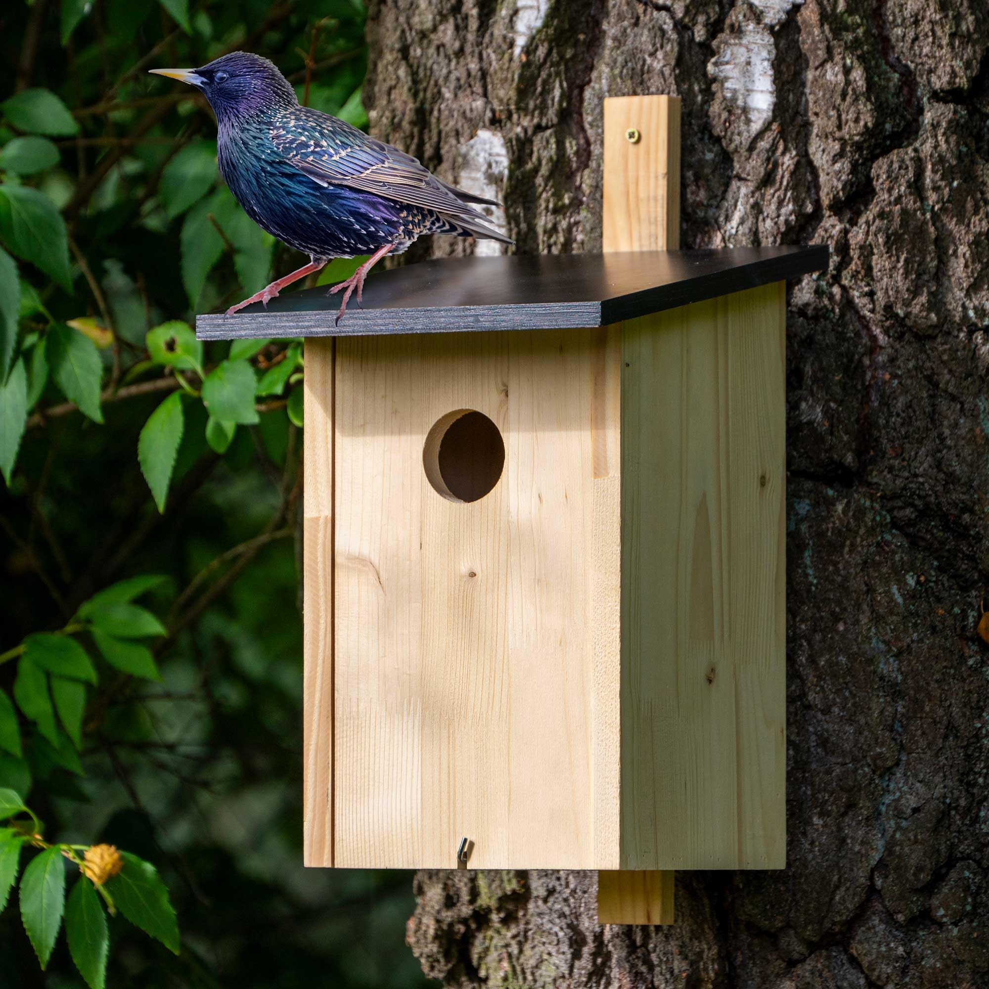 dobar® Klassischer Nistkasten für Stare und Spechte - Vogelbrutkasten zum Aufhängen - 22 x 25 x 32 cm - Natur
