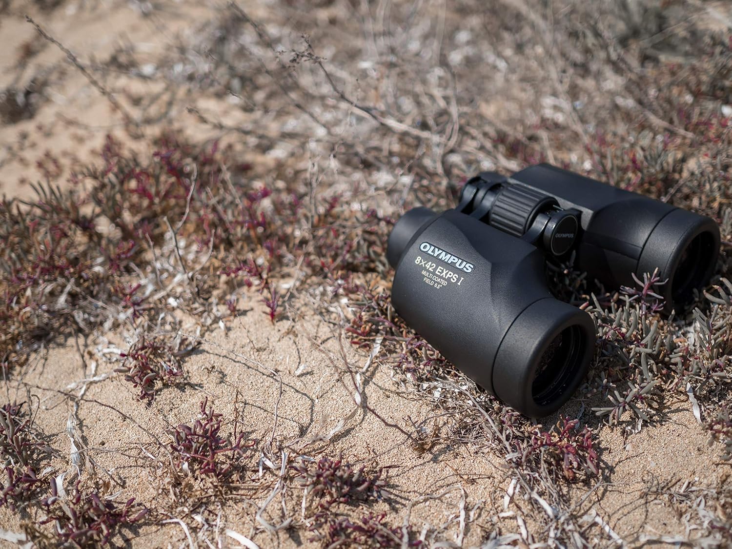 Olympus 8x42 EXPS I Prismáticos - Binoculares Profesionales con Prismas | Lentes con protección UV y óptica de alta resolución. Diseño ergonómico para observación de aves, naturaleza y senderismo.