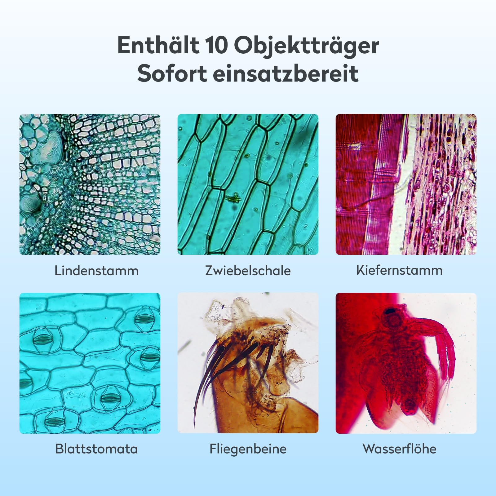 USB Digitales Mikroskop für Kinder Erwachsene, MatataStudio MT3-4 1200x Professionelles Biologisches Mikroskop mit 7" 1080P Bildschirm Beweglicher Tisch Messschieber 5MP für Schule Labor