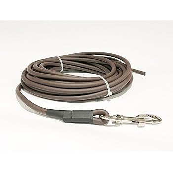 10 metre dog training lead