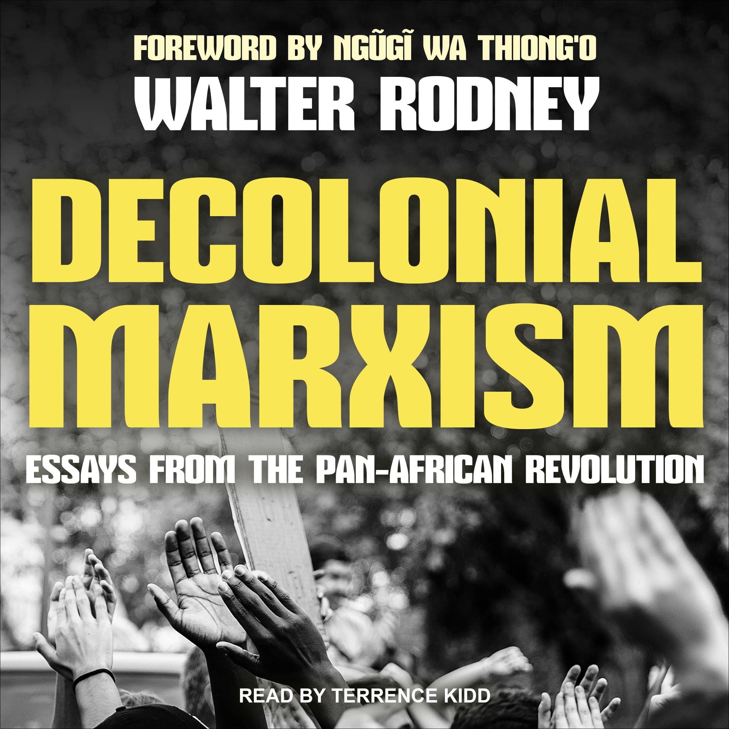 Cover art for Decolonial Marxism
