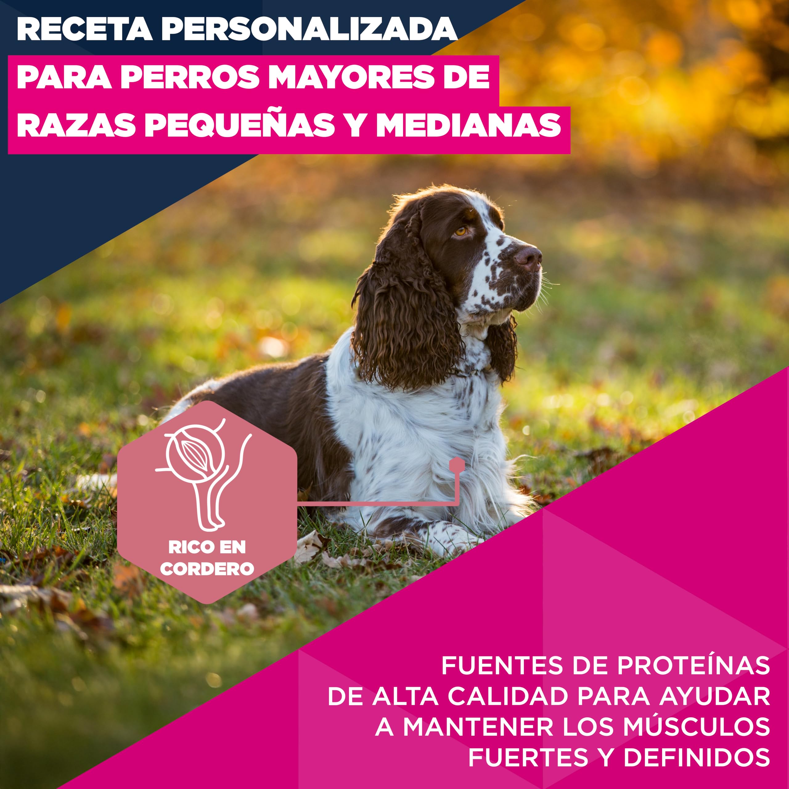 Eukanuba, alimento para Edad Avanzada con Cordero y arroz para Razas pequeñas y Medianas - Alimento seco Premium para Perros Senior, 12 kg
