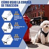 Ver la foto 7