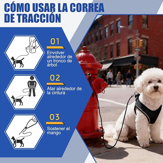 Foto 7 de 7 de Arnés para Gatos con Correa 255cm S (Pecho 39-47cm) Negro