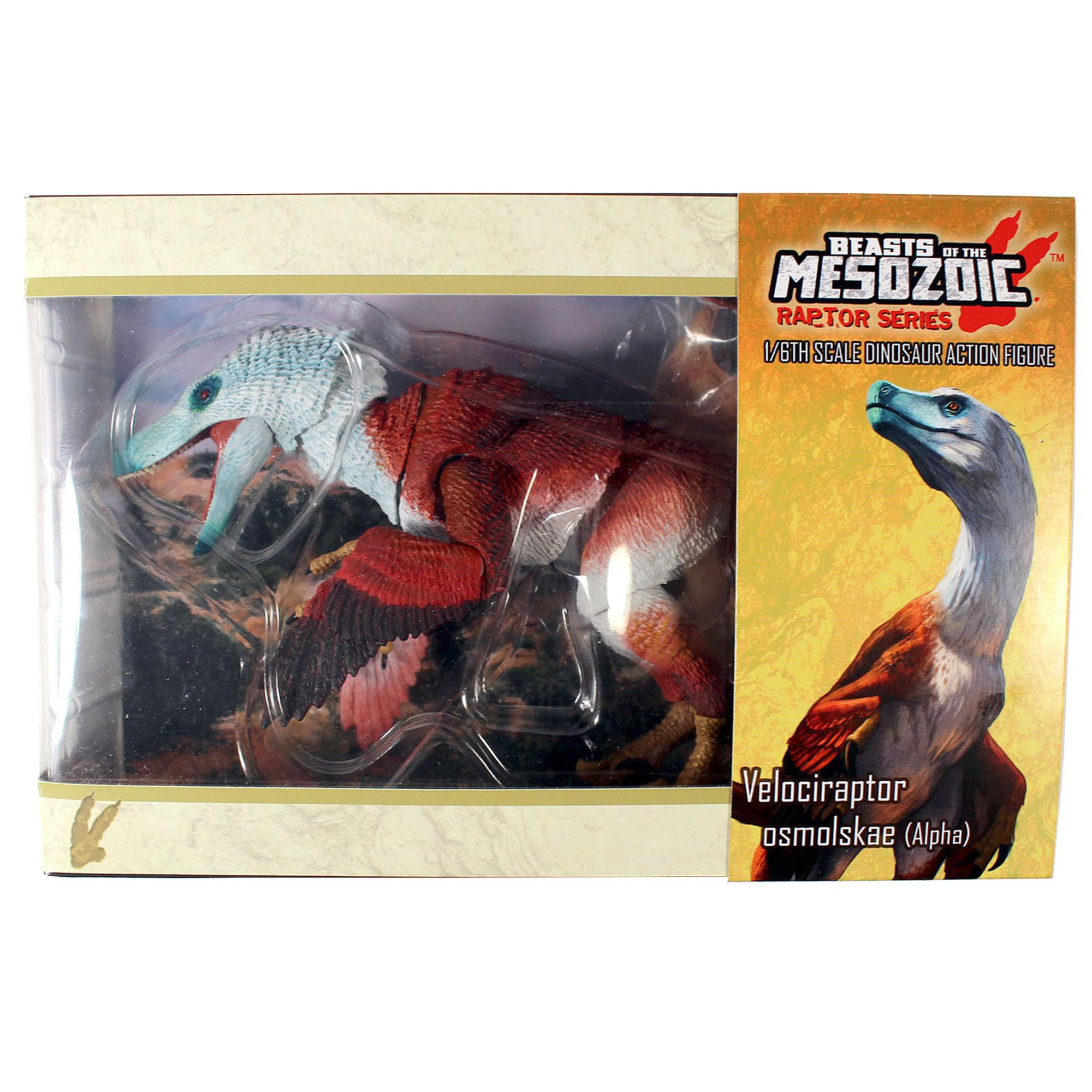ヴェロキラプトル　限定版　BEASTS OF THE MESOZOIC Amazon.co.jp: Everything Dinosaur Beasts of The Mesozoic