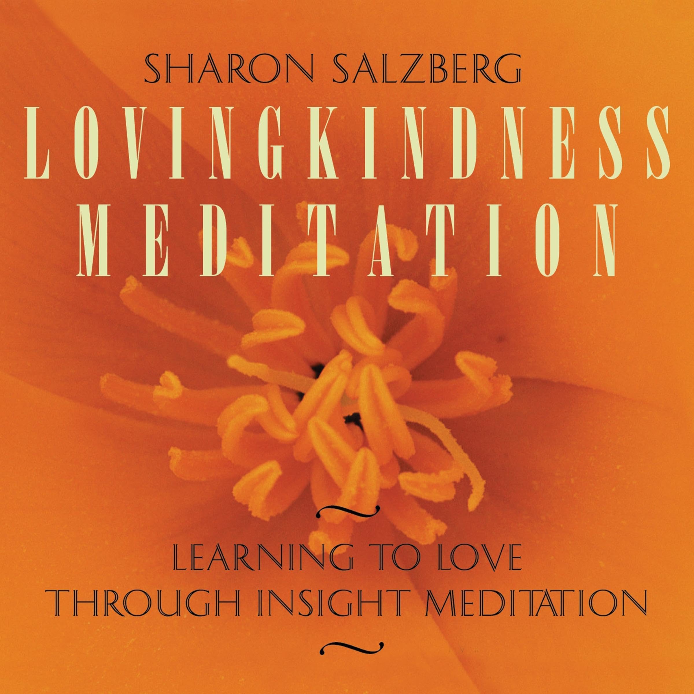 Cover art for Lovingkindness Meditation
