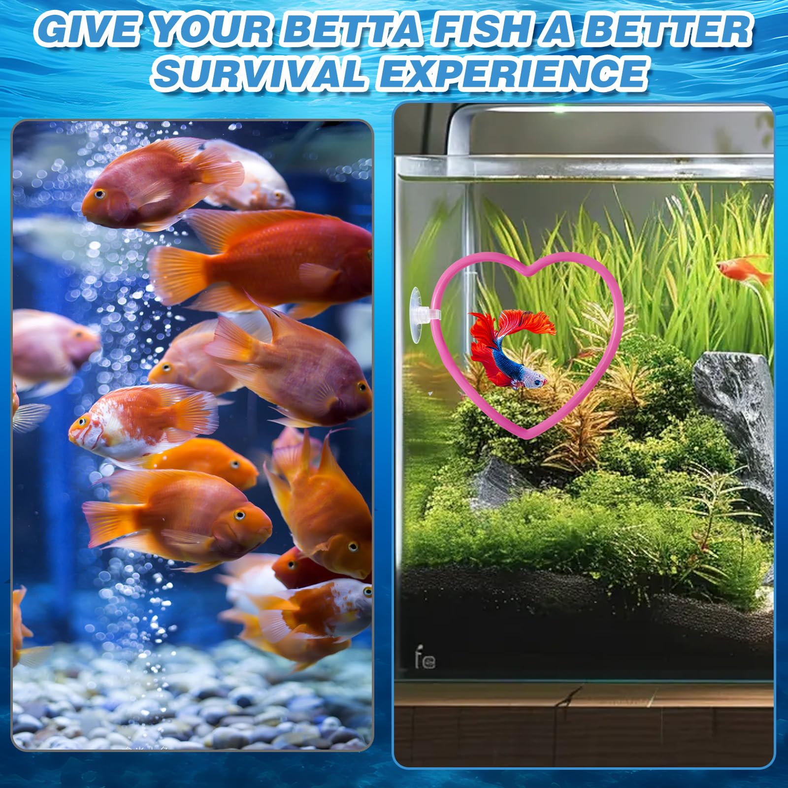 Accessoires de décoration pour Aquarium à Poissons Betta en Forme de cœur, Roses pour Poissons Betta, Accessoires d'aquarium Roses au Design et résistant