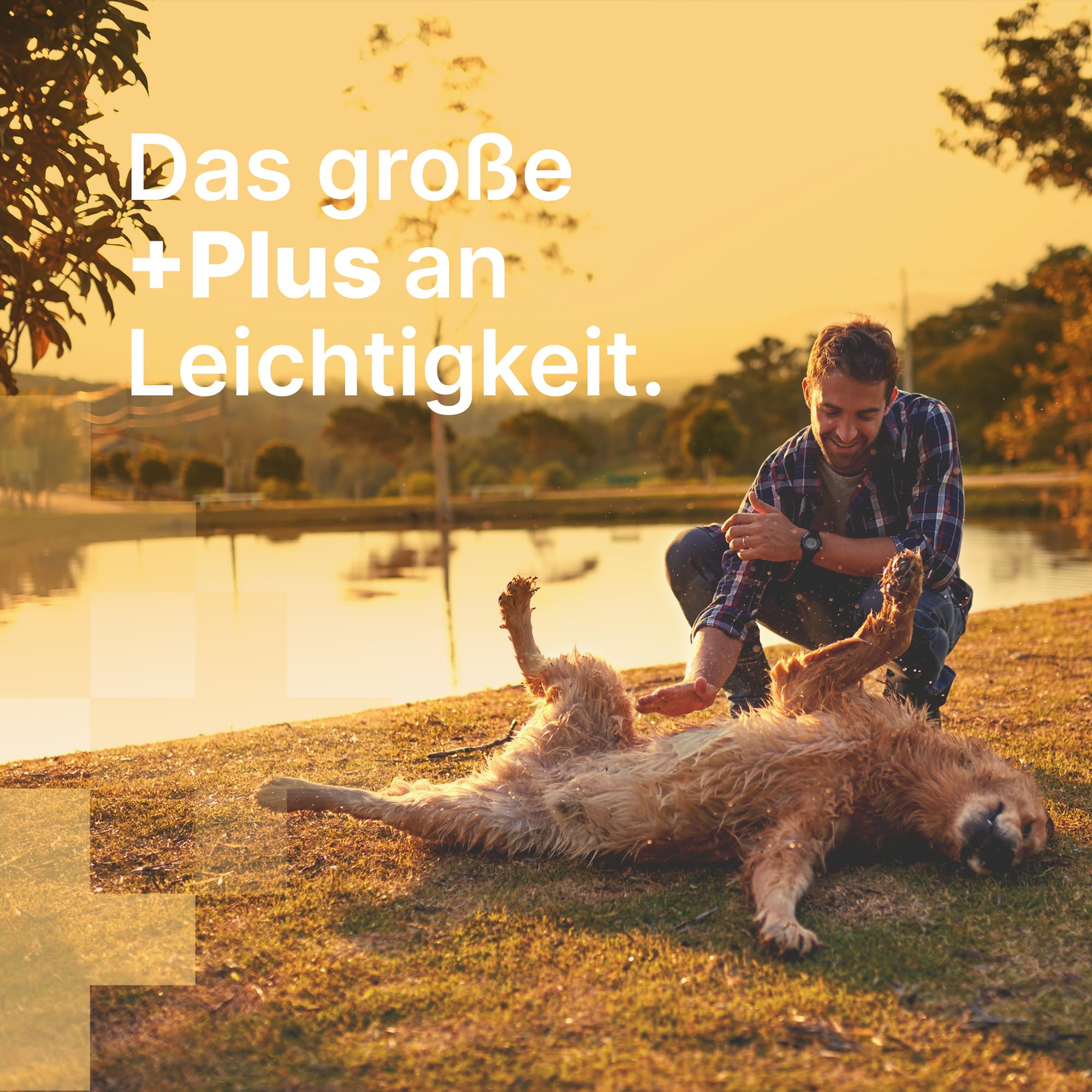 MediBark Magen & Darm - Hundeleckerli mit Ulmendrinde & Engelwurz - gegen Übelkeit & Durchfall - für Gras- & Kotfresser - unterstützt Verdauung & Darmflora - Glutenfrei & Zuckerfrei - 450 Stück