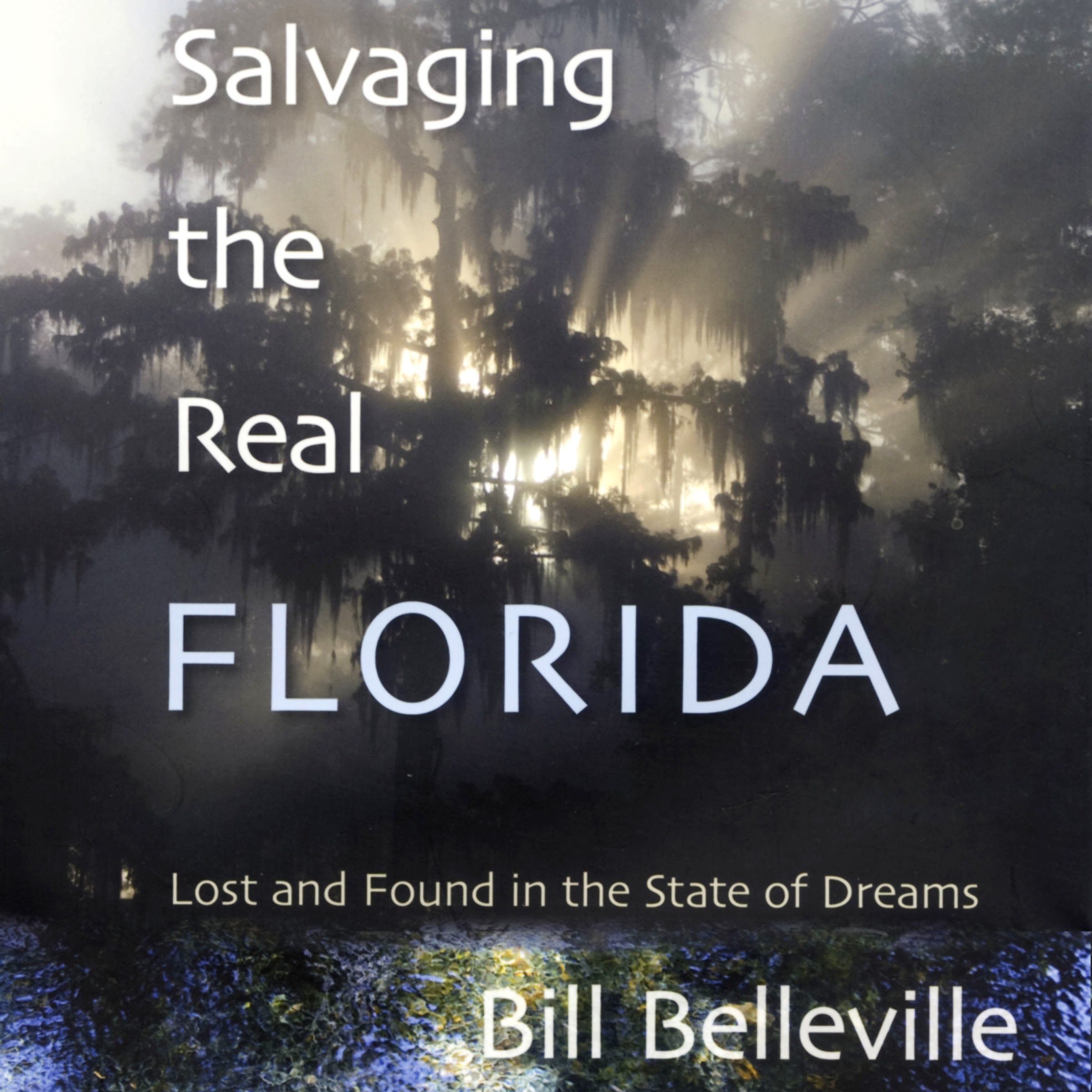 Cover art for Salvaging the Real Florida