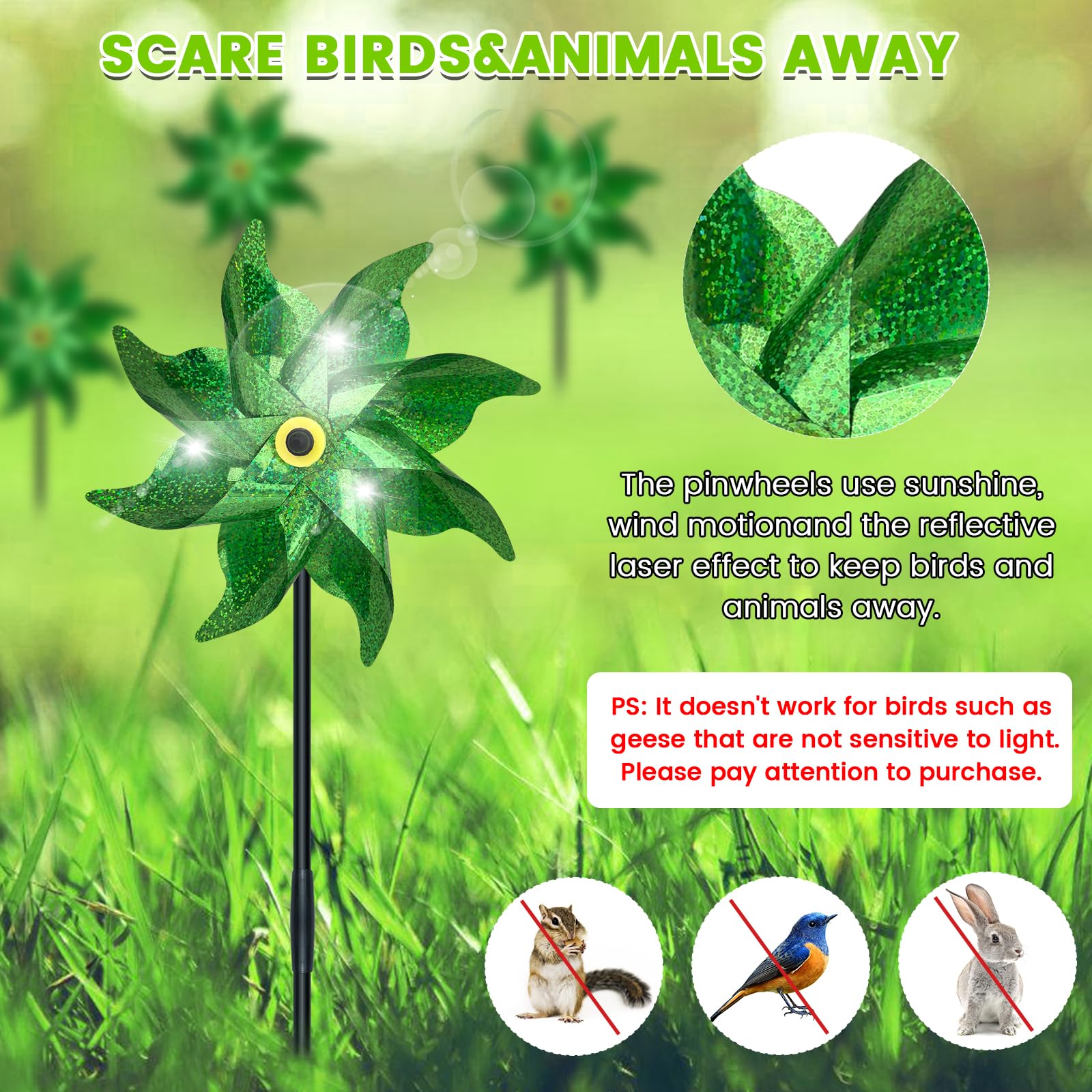 How to Scare Birds Away from Backyard: Effective Tips That Work