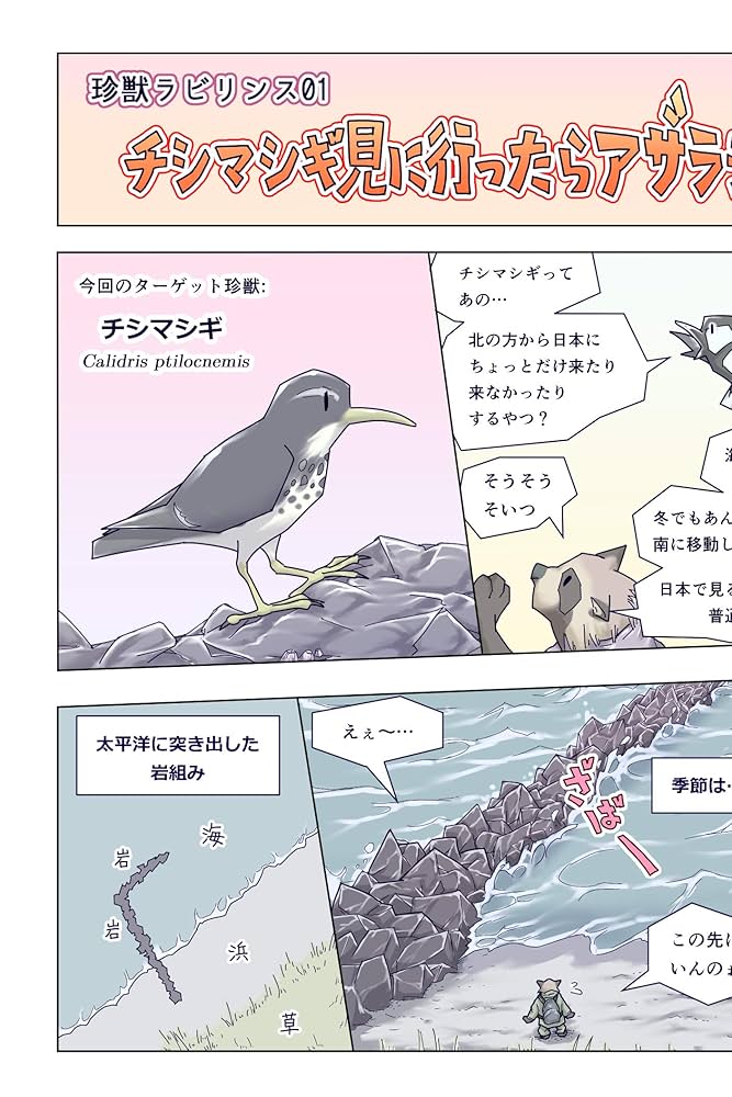 Amazon.com: Rock sandpiper mini ittara seal ni ganmi sareta