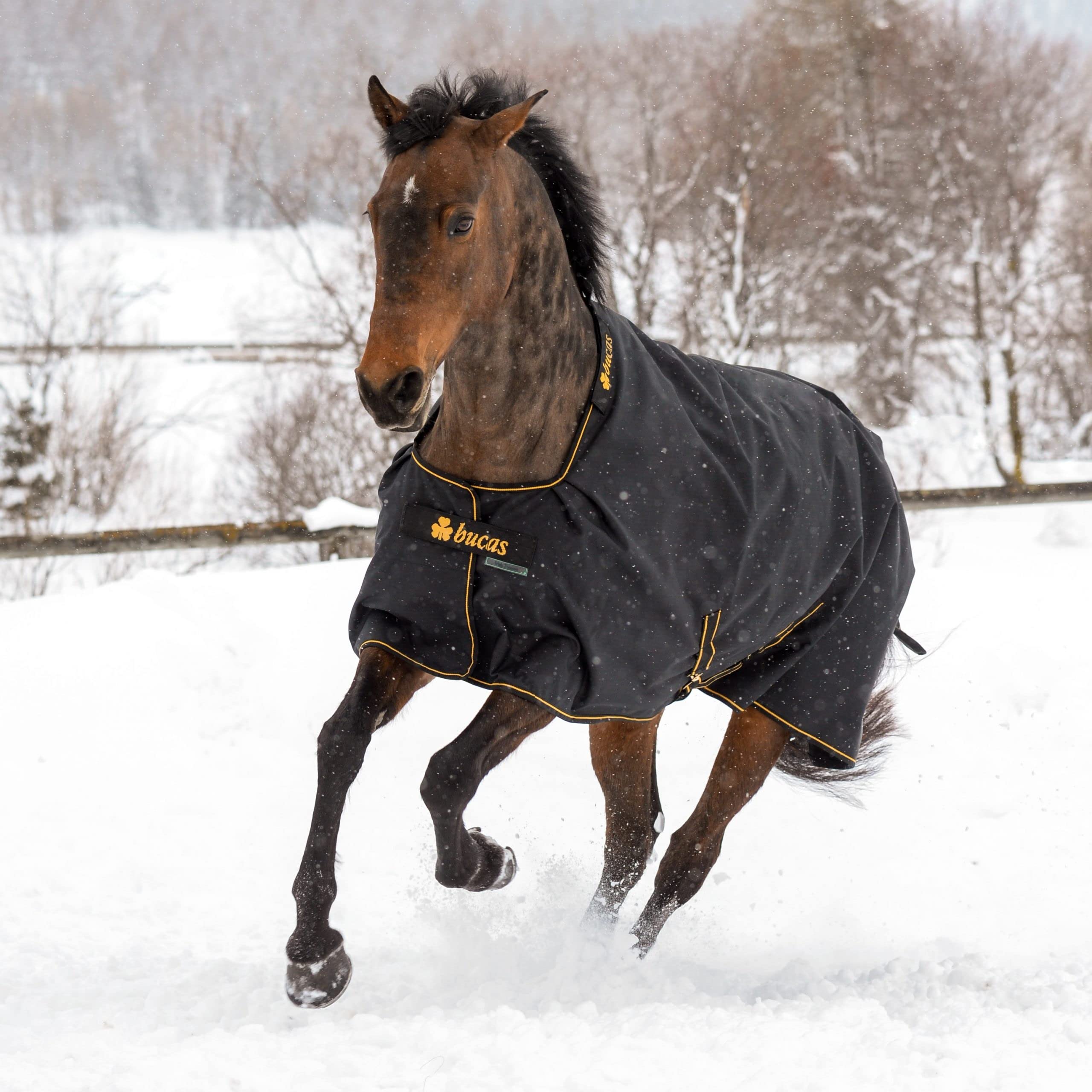 Bucas IrishTurnout - Coperta per cavallo, extra 300 g, 130 SW/Gold
