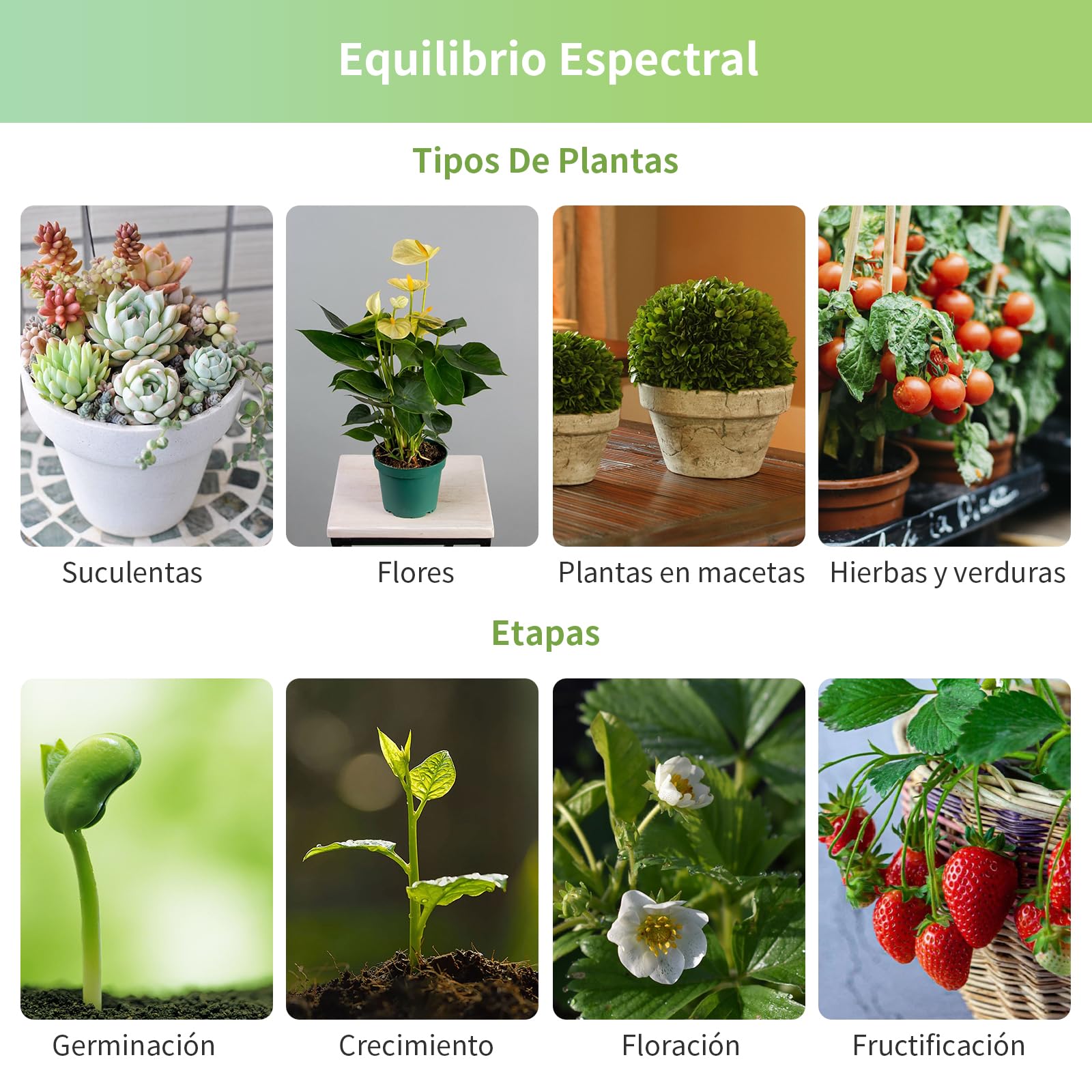 JESLED Lámpara LED de Espectro Completo Para Plantas de 30 W, E27, Luz de Crecimiento de 4100 K Adecuada Para Plantas de Interior, Alto PPFD Adecuado Para Verduras, Frutas, Plantas Y Flores