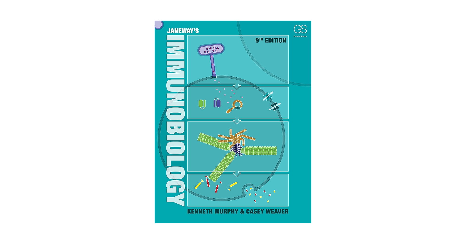 JANeway's Immunobiology 第9版(裁断済み) 裁断済み】JANEWAY'S免疫生物学 原書第9版 - メルカリ