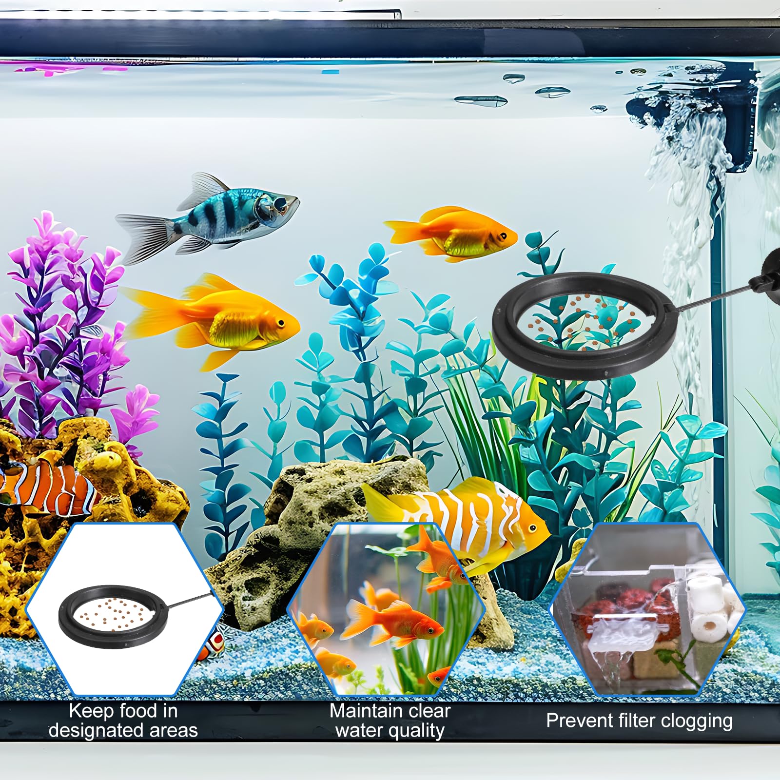 Lot de 2 anneaux d'alimentation pour poissons d'aquarium - Avec ventouses - Distributeur automatique de nourriture pour poissons rouges Bettas - Tortue - Noir