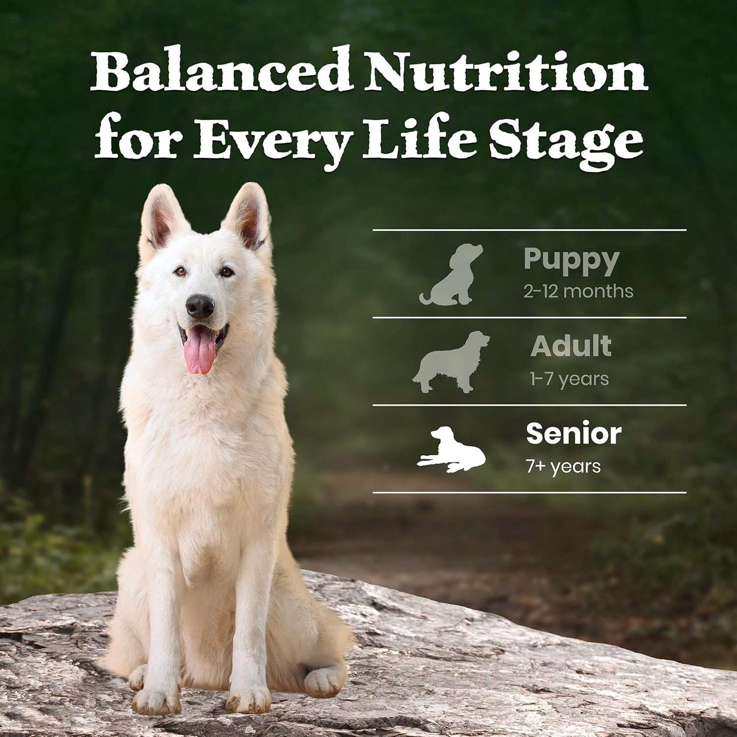 Blue Buffalo Wilderness 31 g Protein, Meat Rich Natural Dry Senior Dog Food, Lamb, Chicken-Free Formula, 24lb Bag