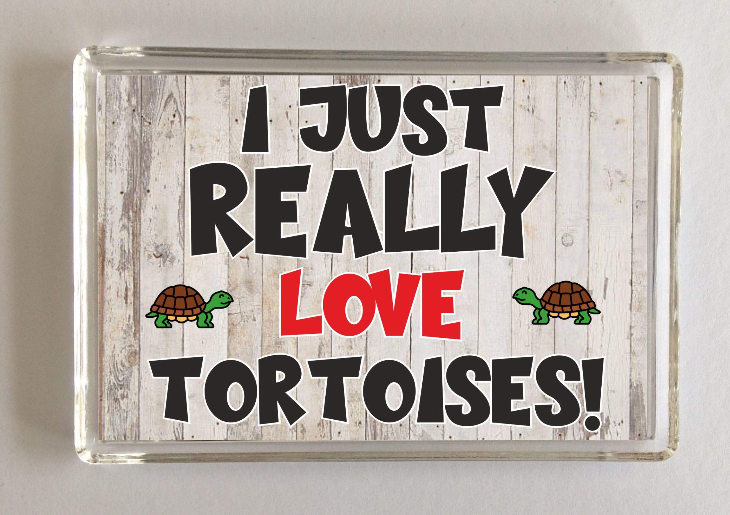 'Clare''s Cosmetics' I Just Really Love Tortoises, Novelty Fridge Magnet, Present For Birthday/Christmas, Novelty Gift, For Animal Lovers, Reptile Animals