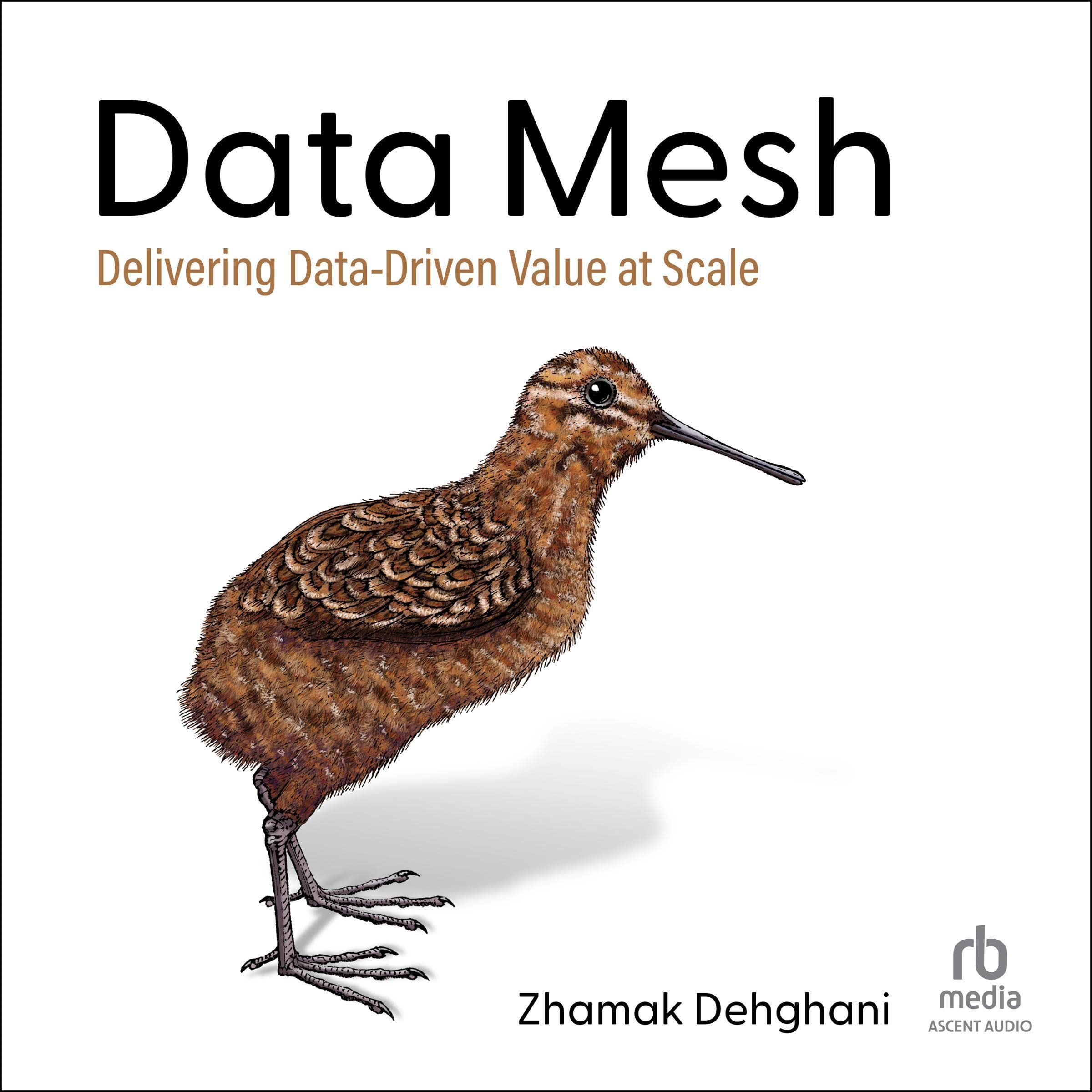 Cover art for Data Mesh