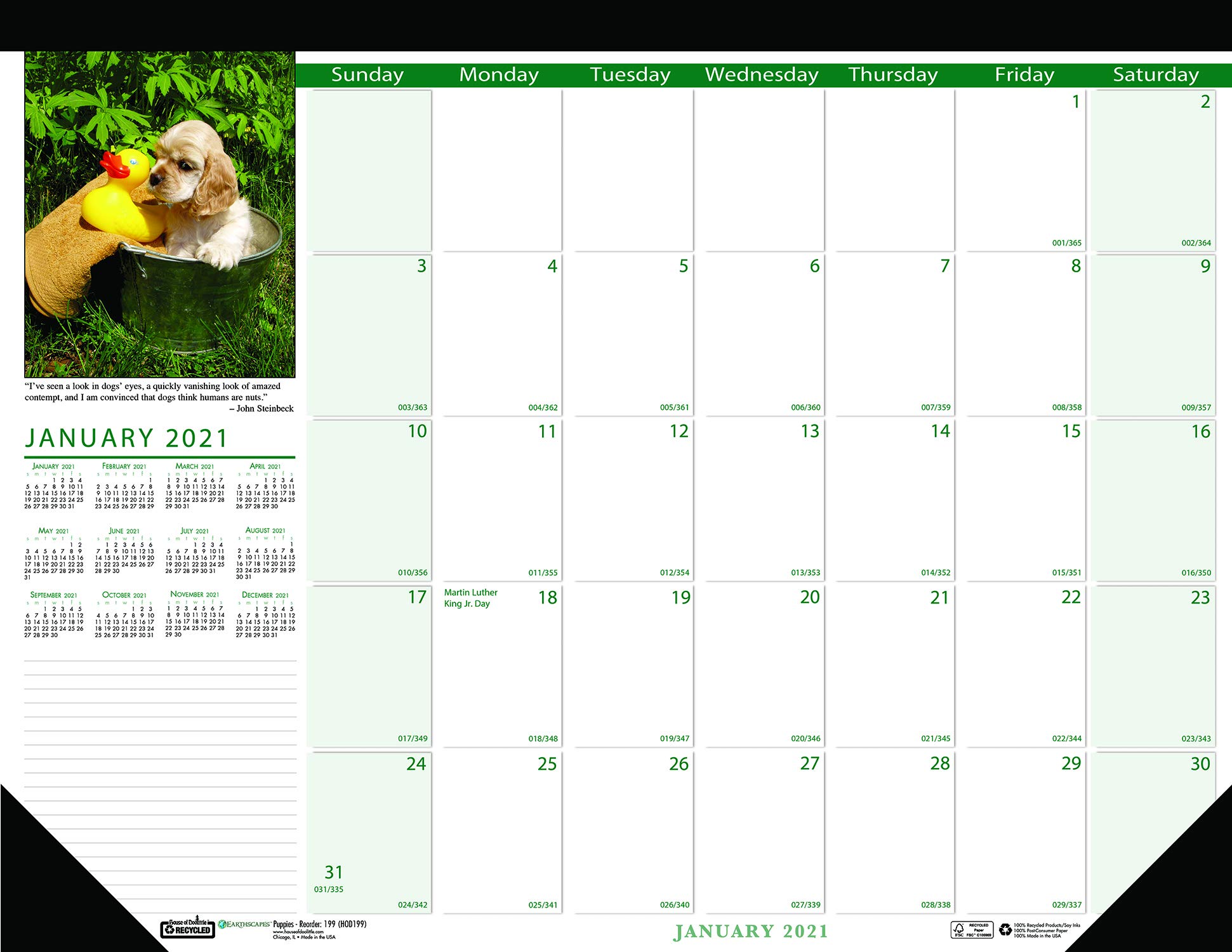 House of Doolittle Monatlicher Schreibtischunterlage 2021, Kalender mit Erdlandschaften und Welpen, 46,7 x 33 cm, Januar – Dezember (HOD1996-21)
