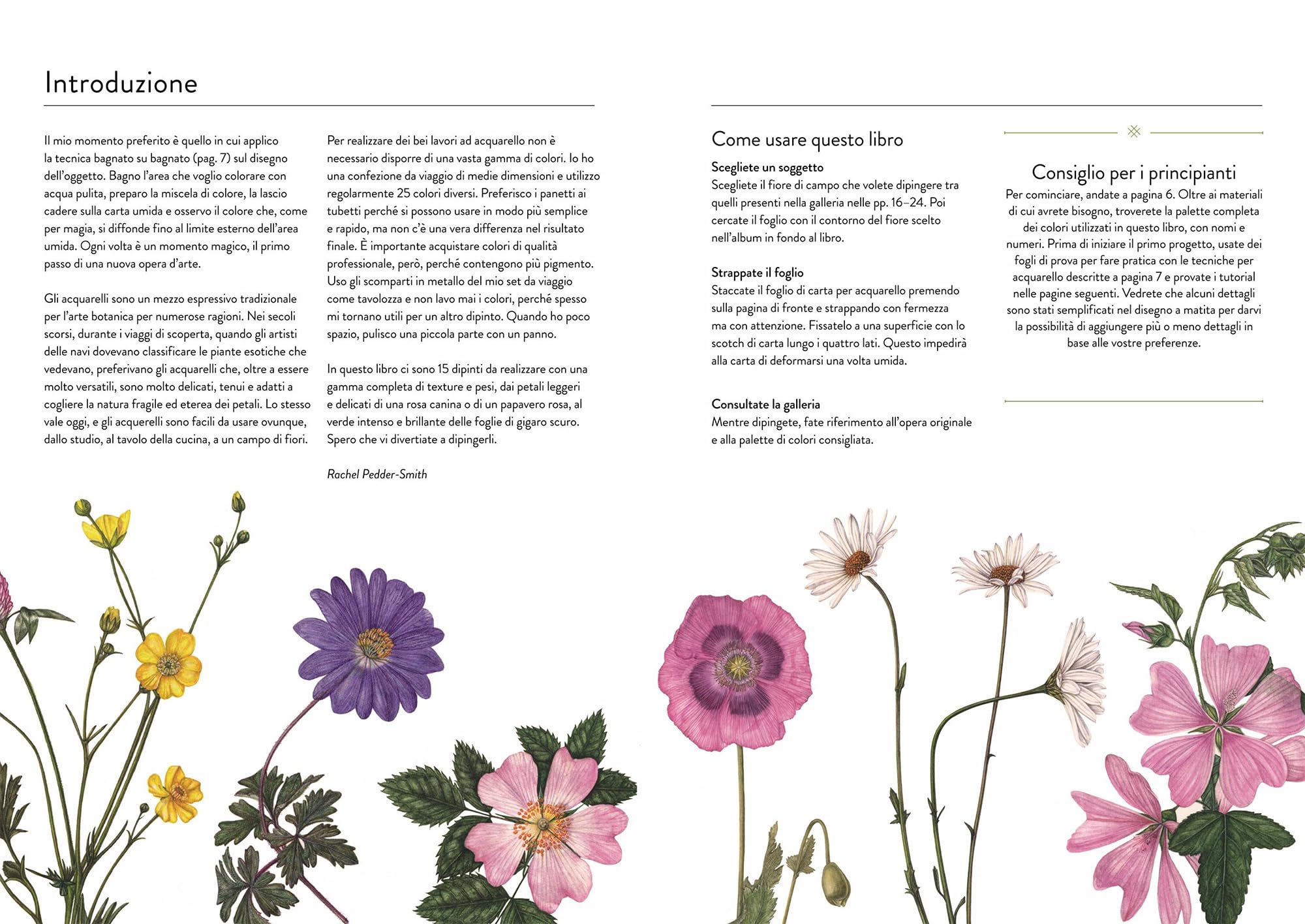 Fiori di campo. Album per acquarelli