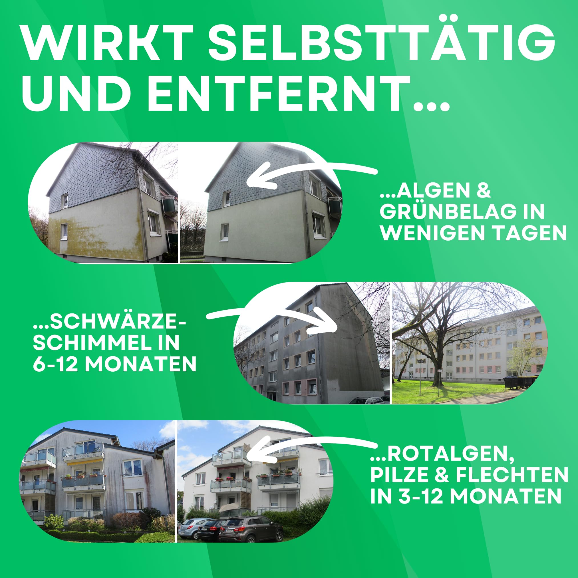 ABACUS® Fassadenreiniger, Grünbelagentferner für Fassaden, Putz & Hauswände – Entfernt selbsttätig Pilze, Flechten & Algen von Fassaden – Nur 0,1L pro m², Nell Fassade 5 Liter (1240.5)