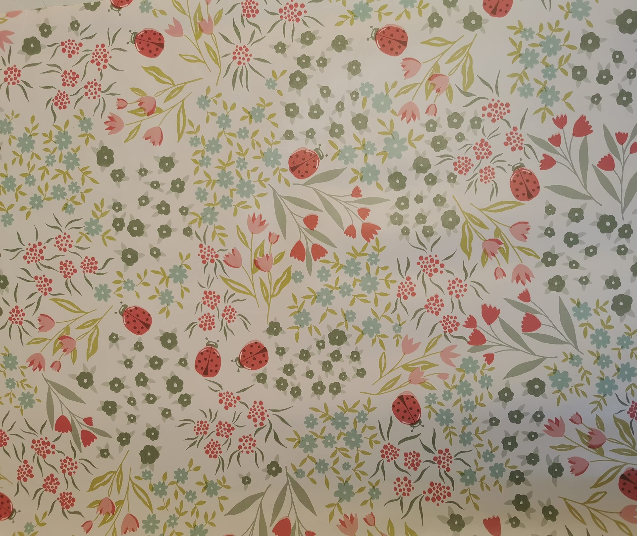 55x98" (140x250cm) RECTANGLE PVC/VINYL GARDEN TABLECLOTH WITH PARASOL HOLE - LADYBIRD/LADYBUG
