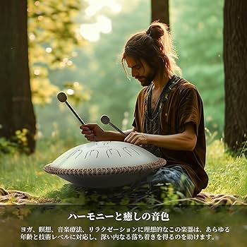 【ハンドパン】スティールパン 黒 Amazon | ハンドパン - スティールドラム（ソフトケース付き