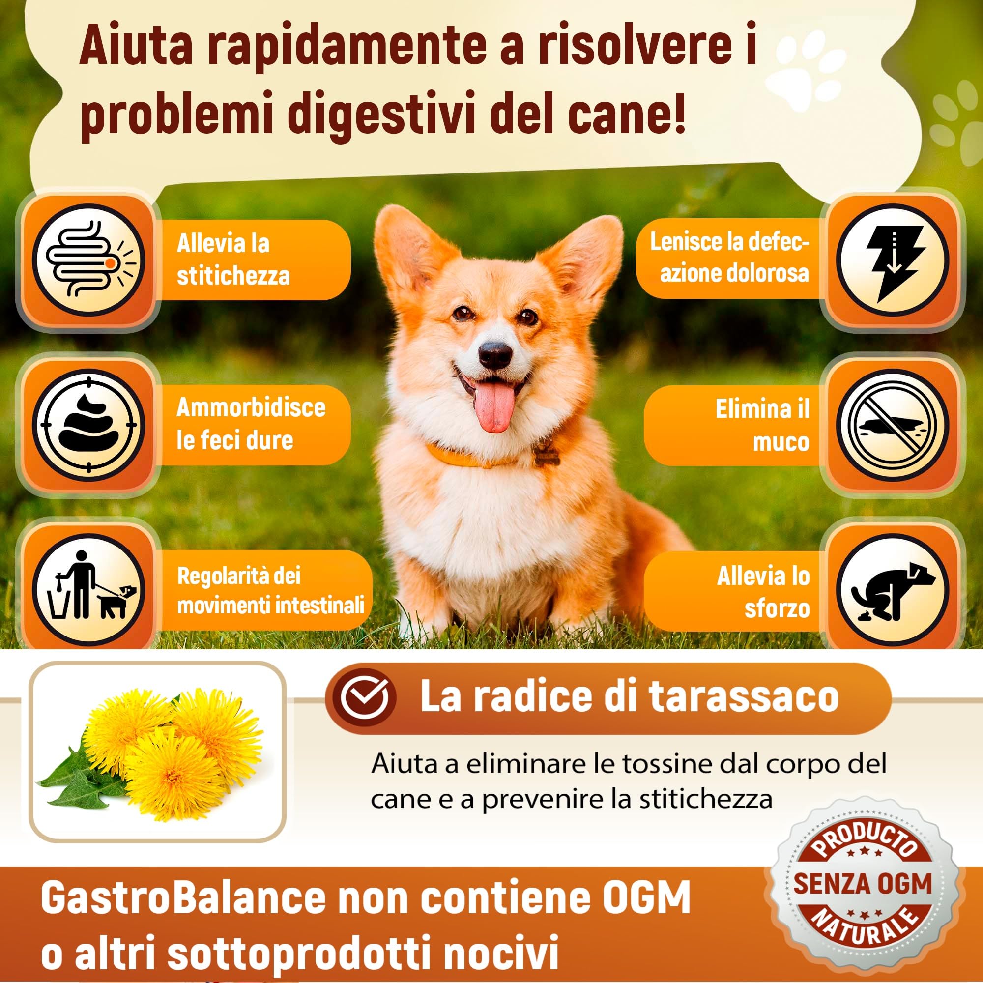 Sollievo contro Stitichezza Cane - 60 bocconcini masticabili lassativi per la stitichezza per i cani