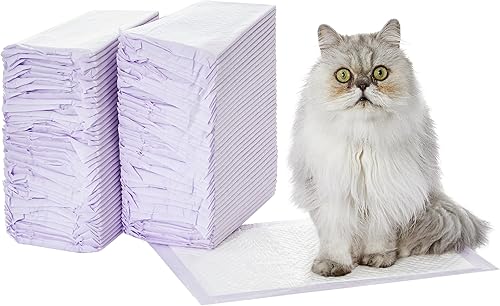 Tienda Basics Recambios de almohadillas para gatos para caja de arena, aroma fresco, paquete de 80, blancomorado