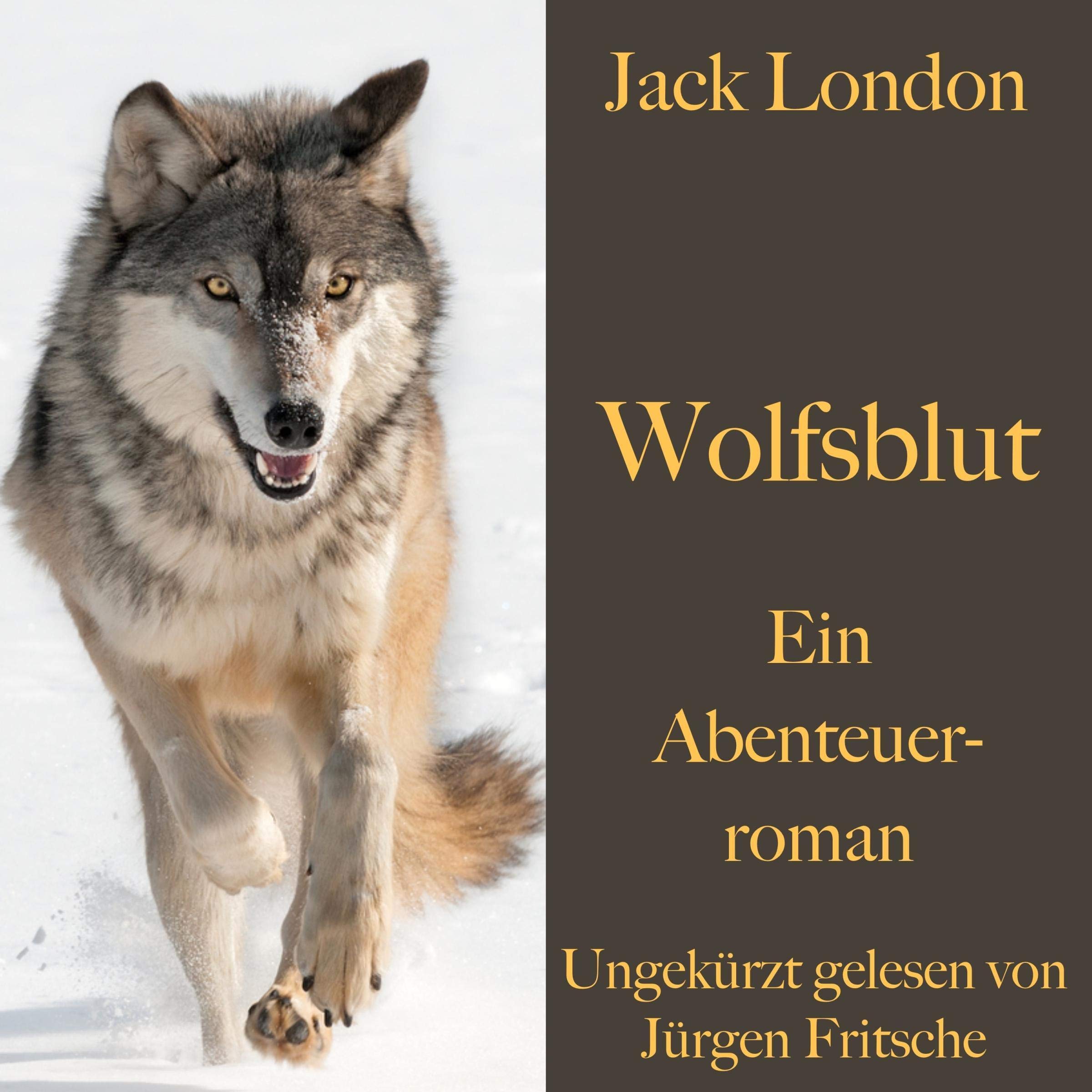 Cover art for Wolfsblut