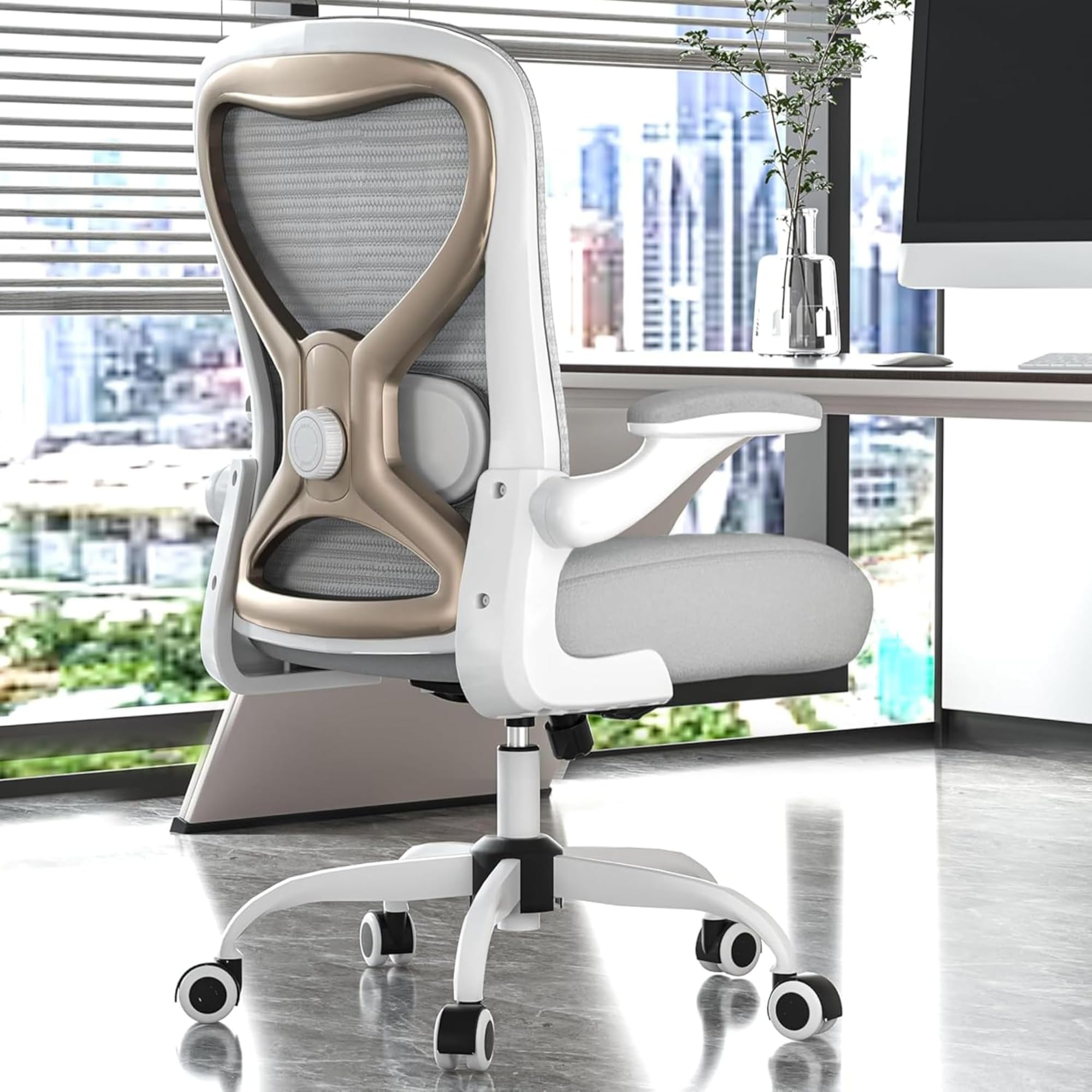 CASASIO Office Desk Chair Gray and Champagne