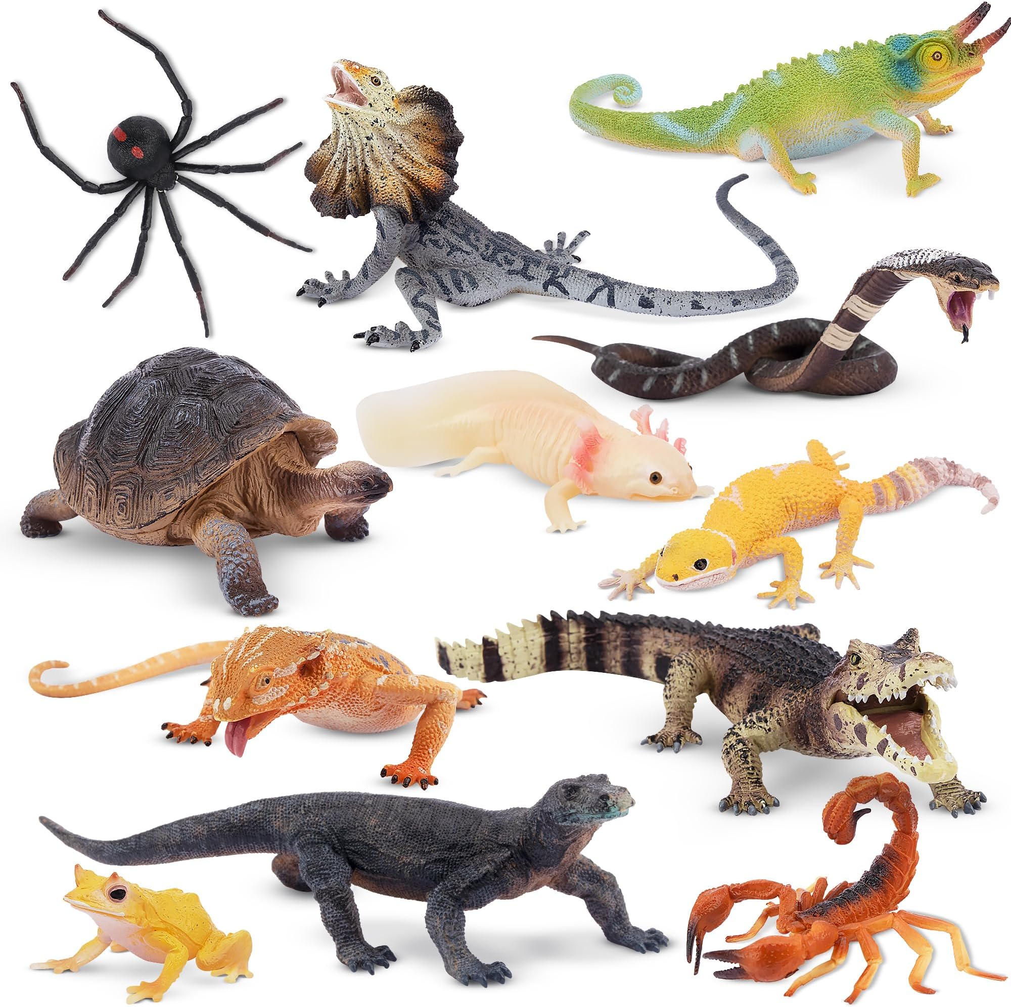 Toymany 10 Piece Tropical Animal Figure, Wildlife Figure Set, Reptiles, Realistic Animal Model, Animal Toy Model, PVC Plastic, Birthday Gift, 6 Years and Up