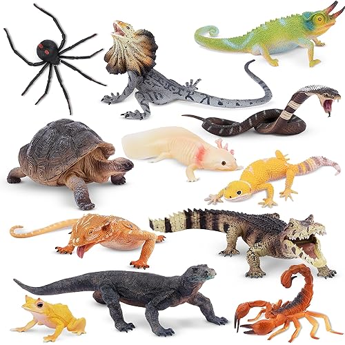 Toymany Reptile Animal Figurine Toys Set, 12 PCS Halloween Desert Amphibians Animal Figures with Komodo Dragon Lizard Snake Chameleon Rainforest Cold Blooded Animals Figures Party Favor for Kids