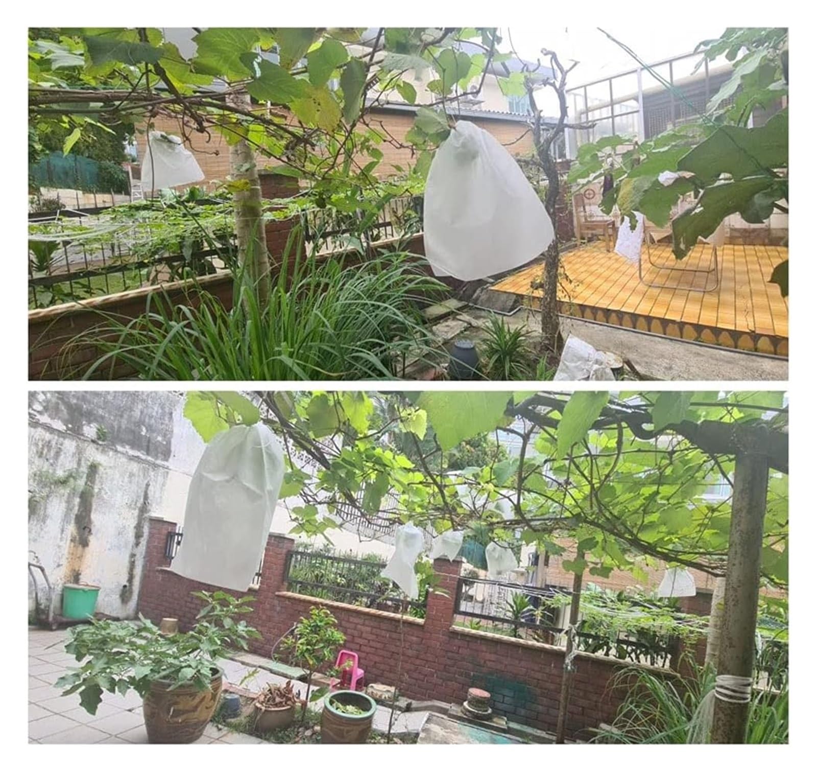 Bolsas Protectoras contra Insectos para Uvas, Bolsa de Malla Tela no Tejida for Frutas y Verduras, antiinsectos, for jardín(300x350mm 100PCS)
