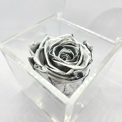 Miniatura 1 de Ecuadorian Preserved Rose Large Silver