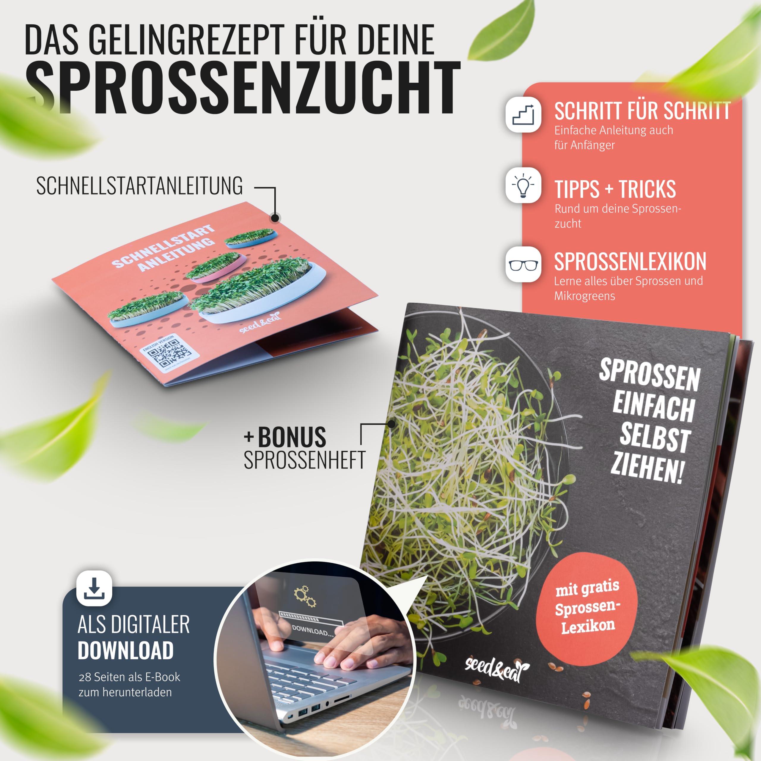 seed&eat Kressesieb (13cm) - 2er Set, Anzuchtschale für Kresse & Microgreens, mit Sprossenheft [E-Book], Keramikschale + Edelstahlsieb
