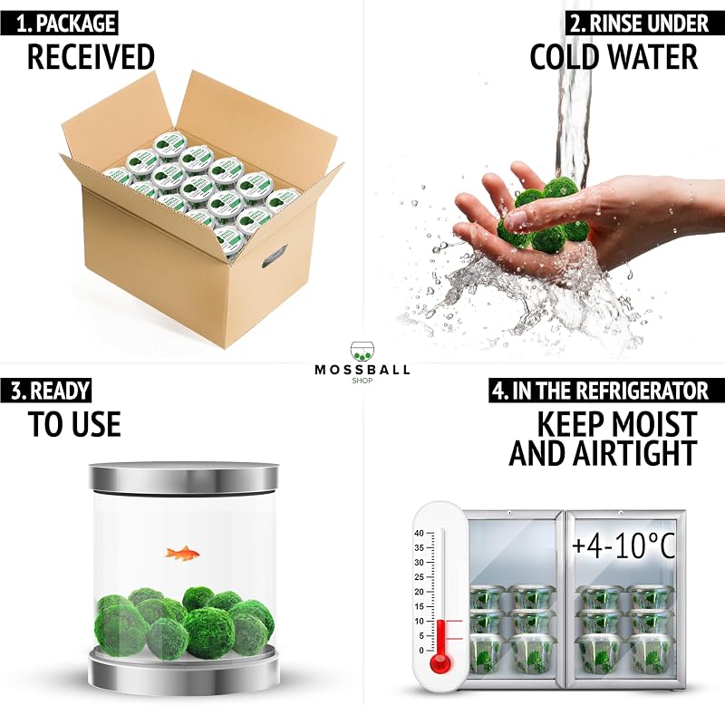 Mossball shop 21 db Marimo Moha Golyó Akvárium Növény Díszítő Vízi Növény Cladophora Aegagropila 1-2 cm Valódi Moha Labda