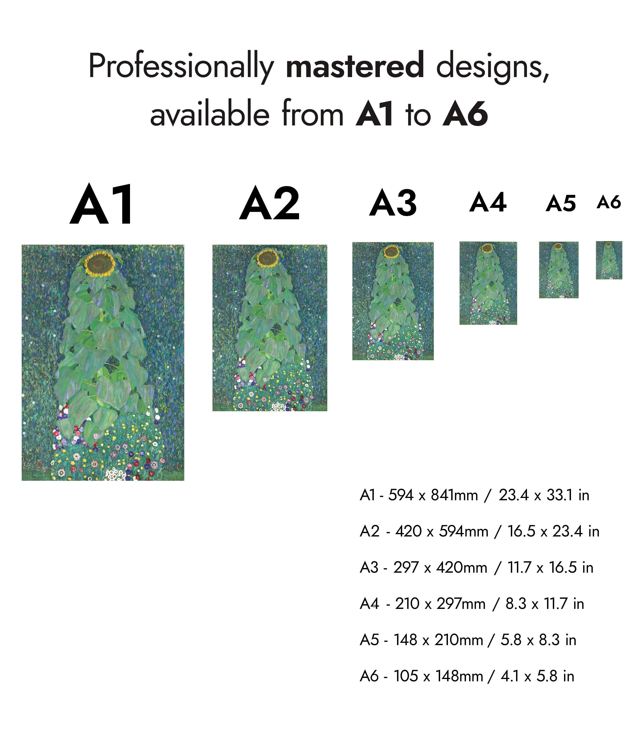 View 5