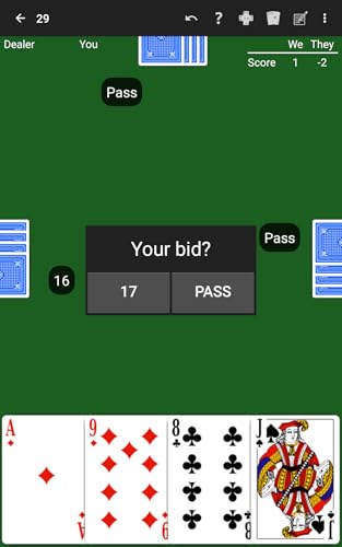 29 Card Game by NeuralPlay