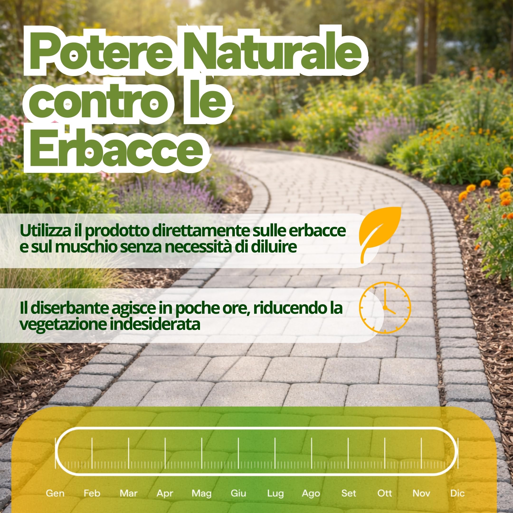 Dissecante per Erba Totale Spray Naturale 1L Alternativa al Diserbante Totale Potente, Senza Glifosato, per Erbacce, Muschio e Vegetazione Indesiderata Pronto all’Uso Eco-Sostenibile