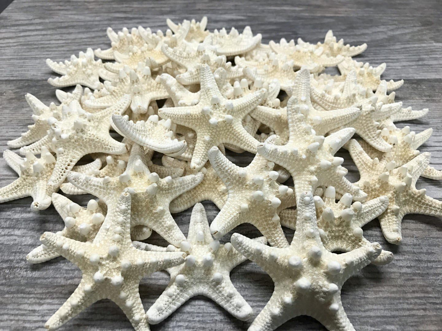 Real Knobby Starfish | 48 Real Knobby Starfish White 3" to 4" | Plus Free Nautical eBook by Joseph Rains